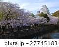姫路城の桜 27745183
