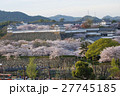 姫路城の桜 27745185