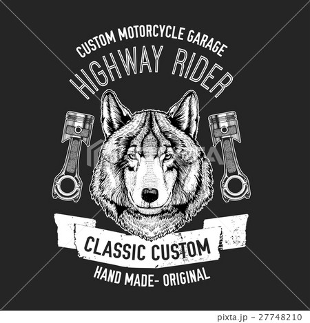 Wild wolf Vector image for motorcycle t-shirt Wild wolf Vector image for motorcycle t-shirt 27748210
