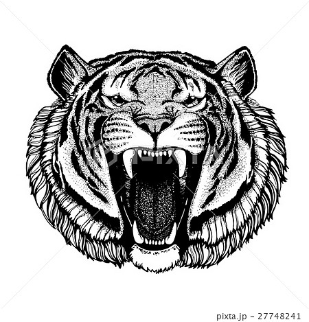 Vector tiger for tattoo, sport logo, t-shirt 27748241