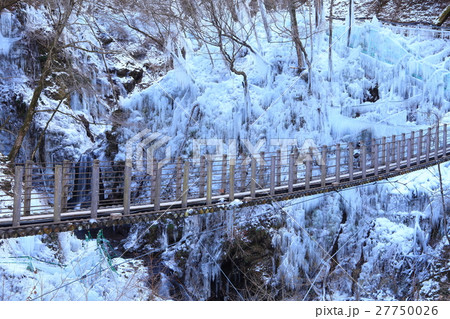尾ノ内百景氷柱と吊り橋 尾ノ内百景氷柱と吊り橋 27750026