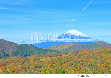 富士山と箱根の紅葉 富士山と箱根の紅葉 27750530