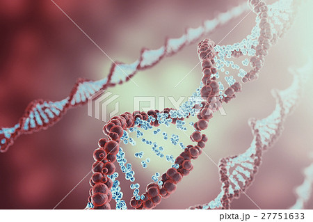 Digital illustration DNA structure in colourful Digital illustration DNA structure in colourful 27751633