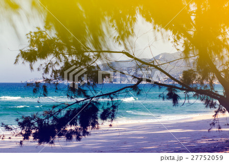 wild picturesque beach wild picturesque beach 27752059