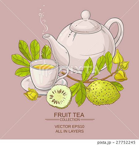 soursop tea vector illustration 27752245
