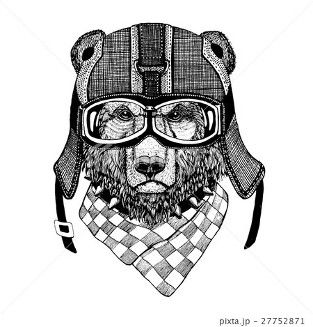 Vintage Image of BEAR for t-shirt design for 27752871