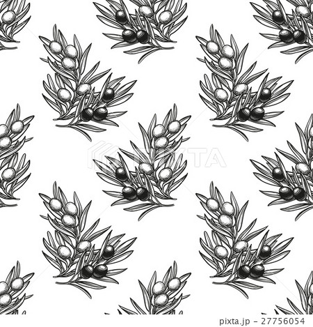 Seamless pattern with olive branch 27756054