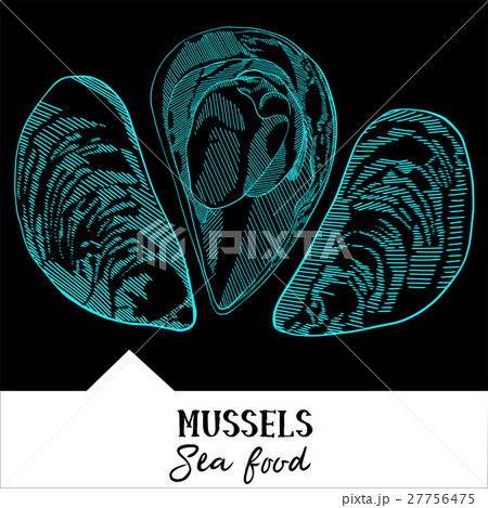 Vector illustration mussels for a seafood menu 27756475