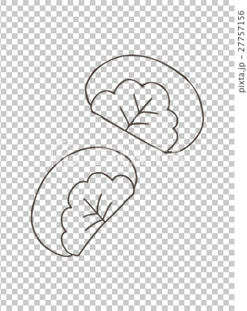 かしわもち（柏餅）のイラスト 27757156