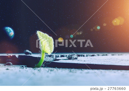 Is there life on moon Is there life on moon 27763660