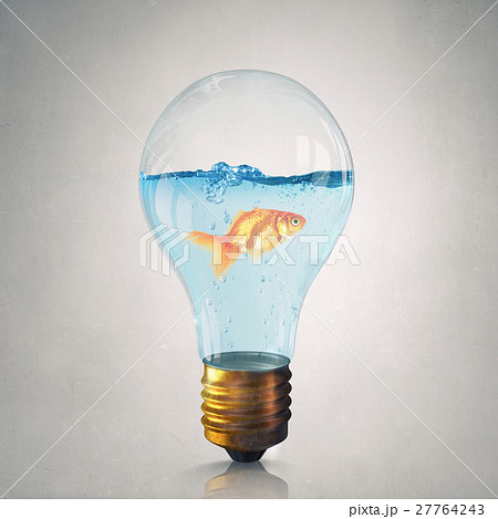 Gold fish in bulb Gold fish in bulb 27764243