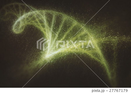 DNA 27767179