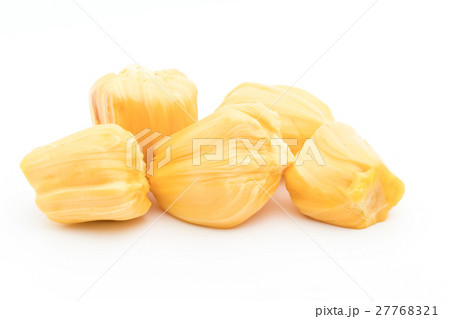 ジャックフルーツ:Jackfruit ジャックフルーツ:Jackfruit 27768321