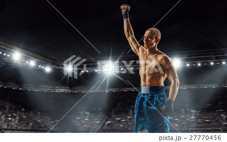 Professional box champion Professional box champion 27770456