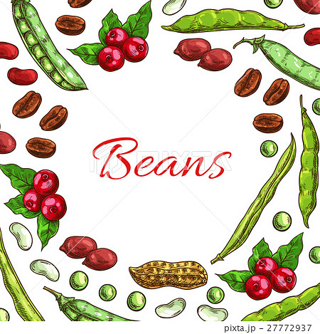Beans, nuts and seeds vector poster 27772937