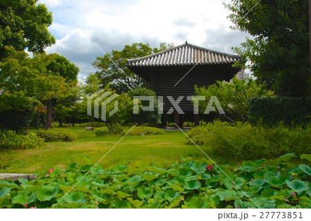 宝蔵･蓮池（東寺(教王護国寺)／京都市南区） 27773851