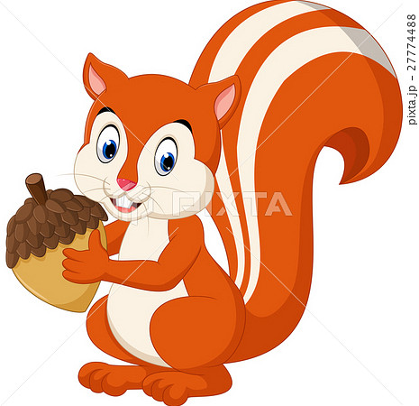 Cute Squirrel Cartoonのイラスト素材