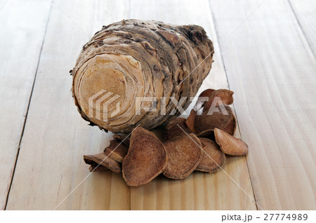 Curcuma comosa Roxb. or Curcuma latifolia Roscoe Curcuma comosa Roxb. or Curcuma latifolia Roscoe 27774989