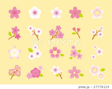 桜 イラスト集のイラスト素材 27776124 Pixta