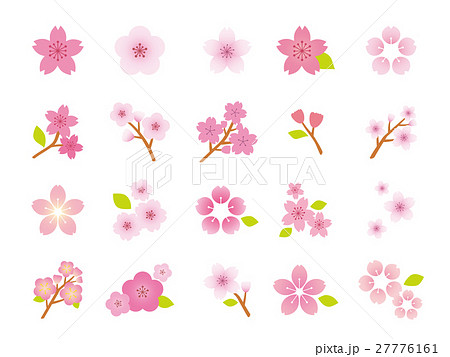 桜 イラスト集 2のイラスト素材 27776161 Pixta