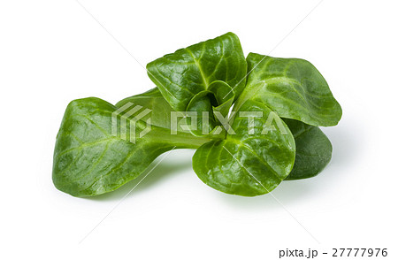 corn salad corn salad 27777976