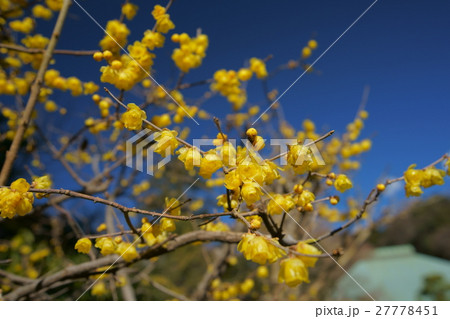 鎌倉・浄妙寺 27778451