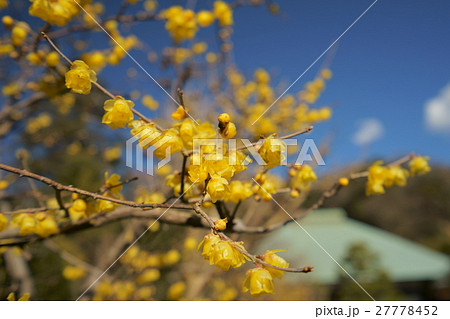 鎌倉・浄妙寺 27778452