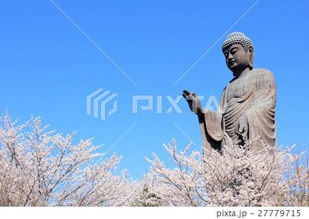 牛久大仏と桜並木 牛久大仏と桜並木 27779715