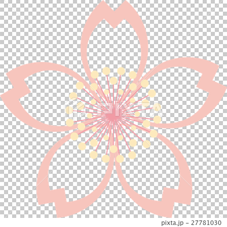 Sakura Peach Flower Single Pink Sakura Peach Flower Single Pink 27781030