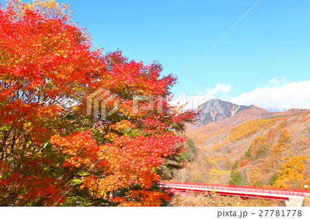 紅葉と八ヶ岳 紅葉と八ヶ岳 27781778