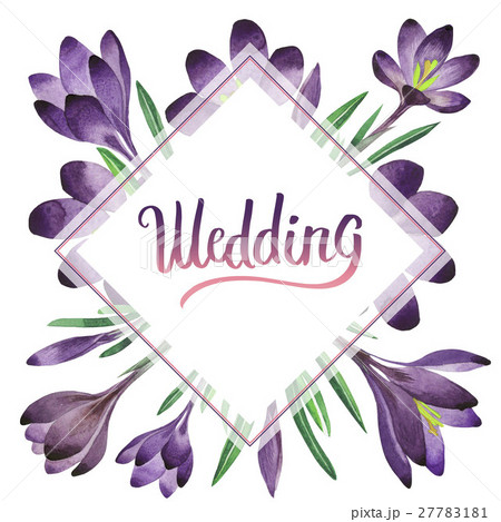 Wildflower crocuses flower frame in a watercolor Wildflower crocuses flower frame in a watercolor 27783181