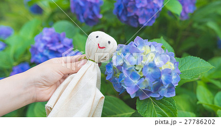 てるてる坊主 てるてる坊主 27786202