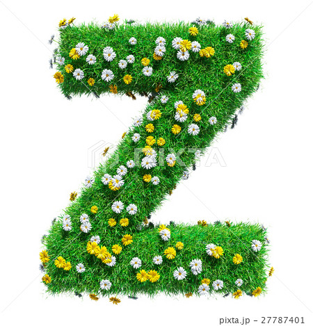 Letter Z Of Green Grass And Flowers Letter Z Of Green Grass And Flowers 27787401