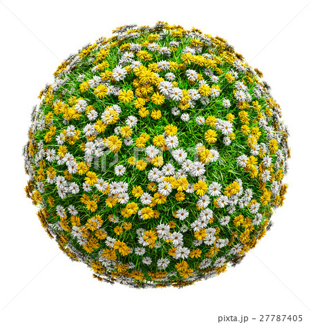 Natural grass arena with flowers 27787405