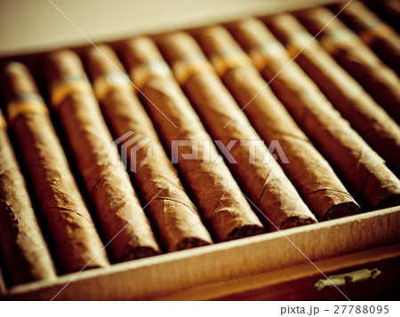 Cigars 27788095
