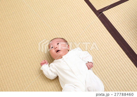 赤ちゃんと畳 27788460