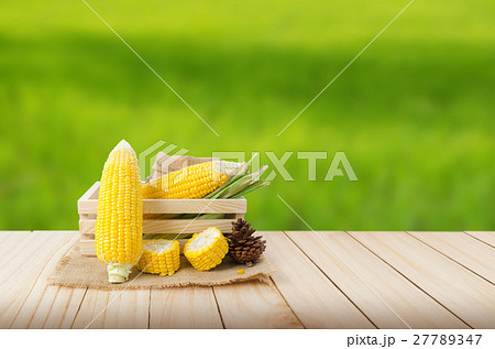 Close up fresh nature corn on hemp sack and Close up fresh nature corn on hemp sack and 27789347