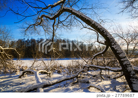 Loshitsa park, Minsk Belarus 27789687