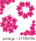 バーベナ 27789790
