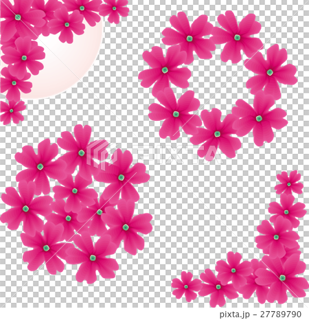 Verbena Stock Illustration