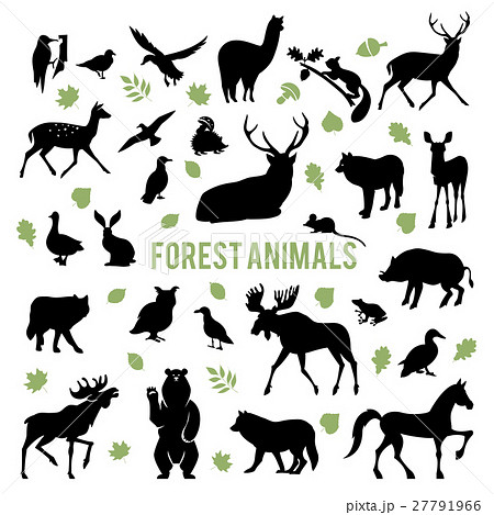 Silhouettes Of The Forest Animals のイラスト素材