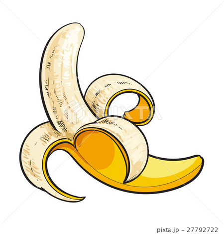 One open, peeled ripe banana, sketch style vector One open, peeled ripe banana, sketch style vector 27792722