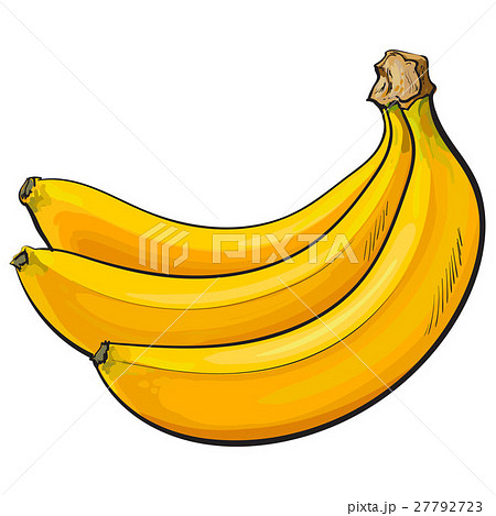Bunch of three unopened, unpeeled ripe bananas 27792723