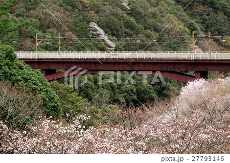 京都 保津峡駅と桜 京都 保津峡駅と桜 27793146