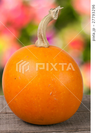 Small decorative orange pumpkin on a wooden board Small decorative orange pumpkin on a wooden board 27793296