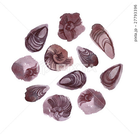 Sea Elements Composition. Hand-drawing watercolor 27793396