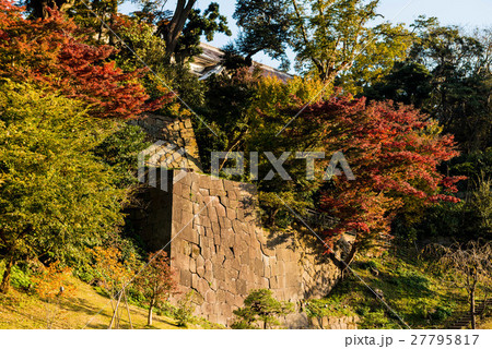 晩秋の玉泉院丸庭園 27795817