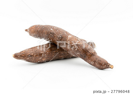 キャッサバ：Cassava 27796048