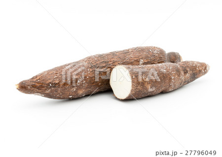 キャッサバ:Cassava キャッサバ:Cassava 27796049