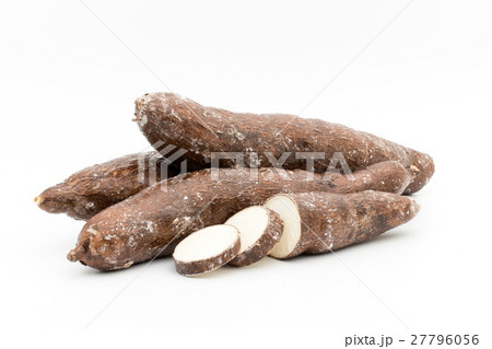 キャッサバ：Cassava 27796056